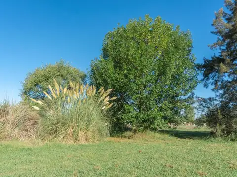 Lote en Venta en La Arbolada