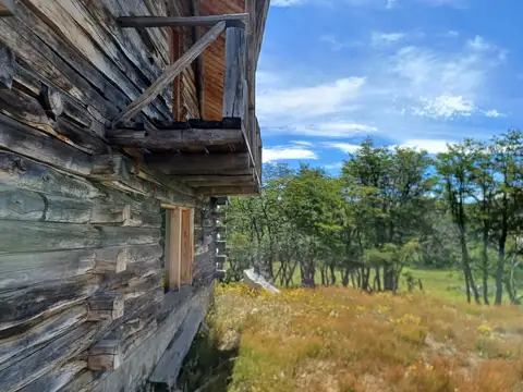 Campo en Venta Ganadero