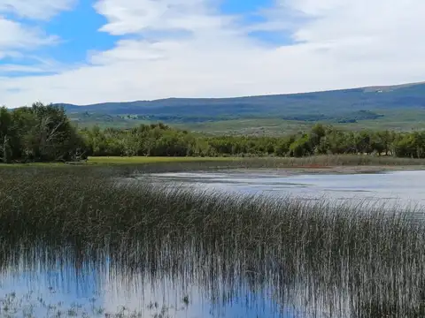 Campo de 2186 has en Corcovado