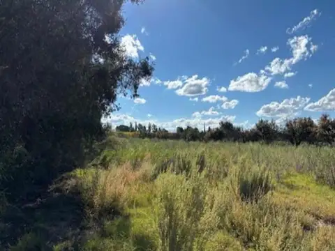 FINCA A LA VENTA EN SAN RAFAEL