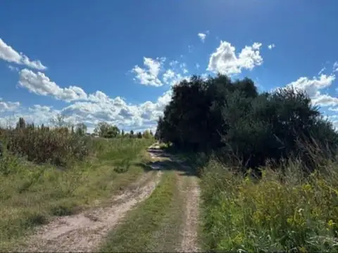 FINCA A LA VENTA EN SAN RAFAEL