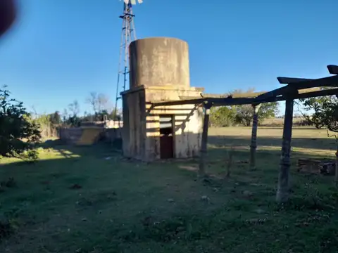 Camino Pueyrredón