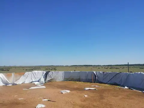 420 HAS MIXTAS EN SANTA FE | APTITUD GANADERA & AGRÍCOLA