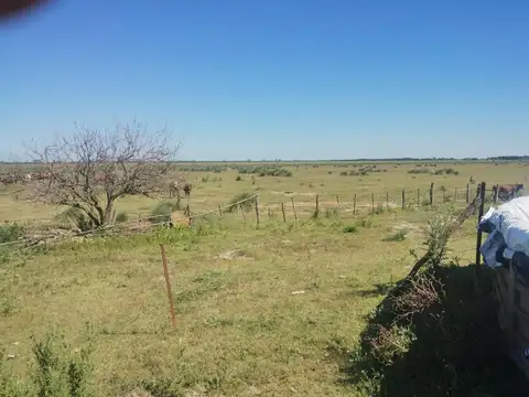 420 HAS MIXTAS EN SANTA FE | APTITUD GANADERA & AGRÍCOLA