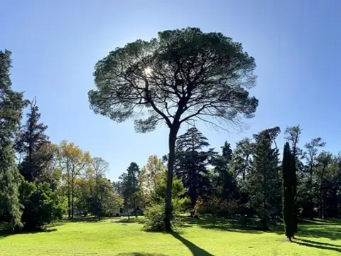 Terreno en Venta de 531,0 m2