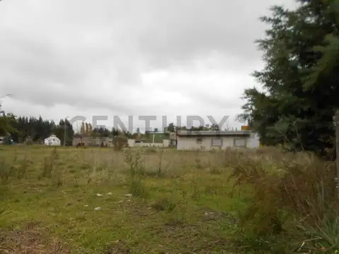 Alberti y Albarado , Piso 0