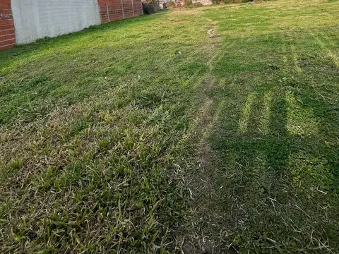 Terreno en Alquiler 49  mts Fondo