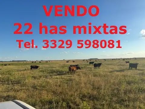Campo de 22 has en venta.