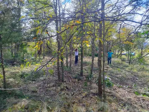 Excelente Terreno En Villa Giardino Los Quimbaletes