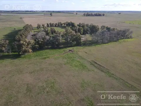 Fracción de Campo de 209 Has en Venta -  La Plata
