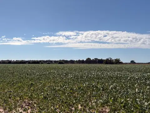 Campo en Venta Agrícola