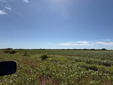 Campo en Venta de 100  ha