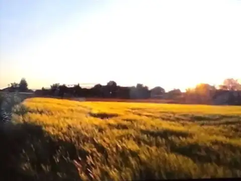 Ruta Nacional 40 100