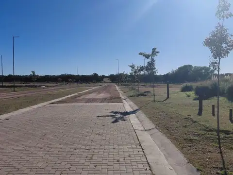 VENTA LOTE SINSACATE VISTA REAL CORBOBA