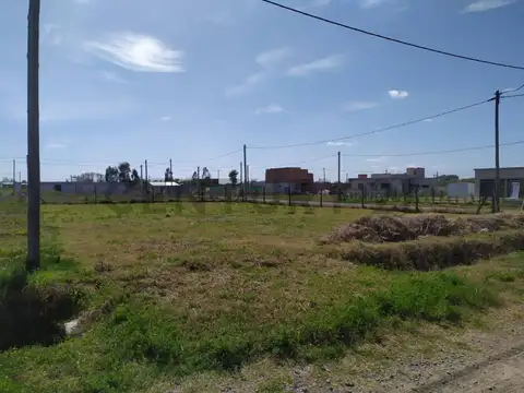 131 y 625 100
