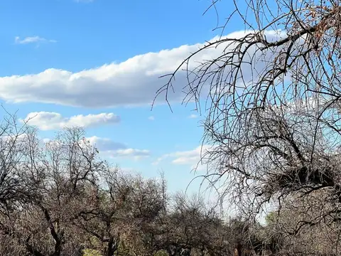 Terreno en Venta de 8374,0 m2