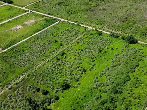 Gral Paz sn - Fracción ideal para desarrollo inmobiliario