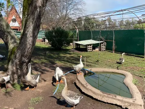 VENTA - CHACRA en BARADERO - 24 HECTAREAS
