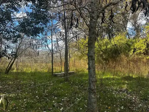 Campo en Venta de 3,14  ha
