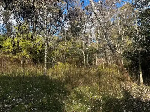 CAMPO EN VENTA CAPILLA DEL SEÑOR 3.5 HECTAREAS VARIOS USOS