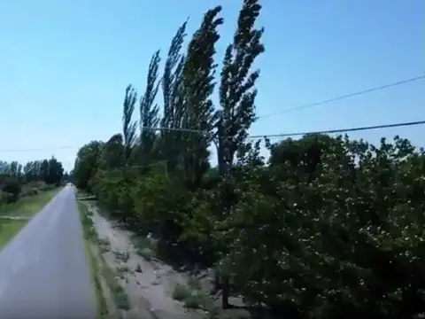 Terreno para loteo en Mendoza, General Alvear