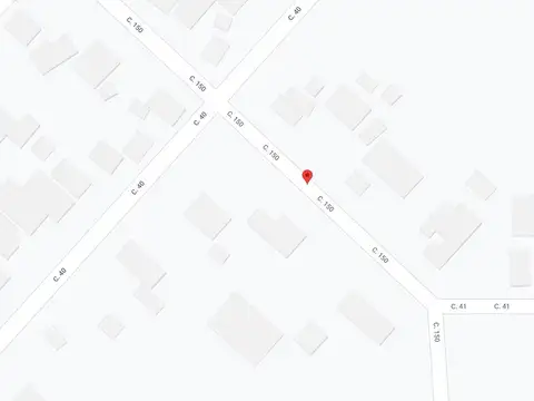 Liquidámbar - 150 e/ 41 y 42