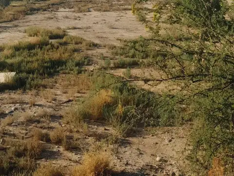 Terreno en Venta de 500,0 m2