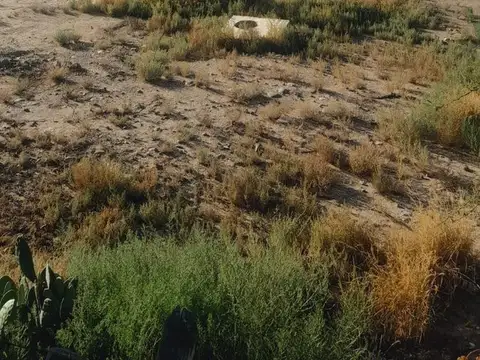 Terreno en Venta de 500,0 m2