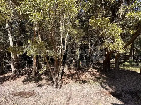 Terreno en Venta en Chascomus, USD 38.000