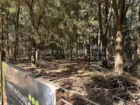 DE LOS ARRAYANES 100