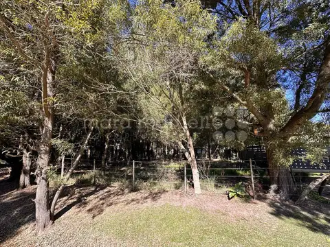 Terreno en Venta de 650,0 m2