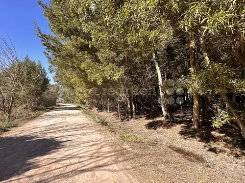 Terreno en Venta 20  mts Frente