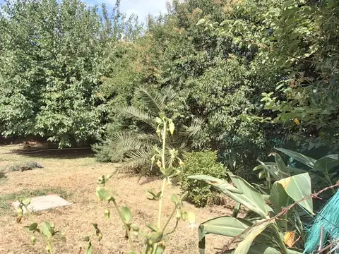 VENTA LOTE PASO DEL REY A METROS DEL ACC OESTE