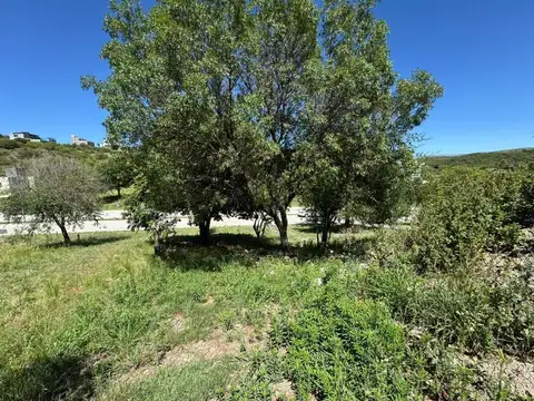 Terreno en Venta de 810,0 m2