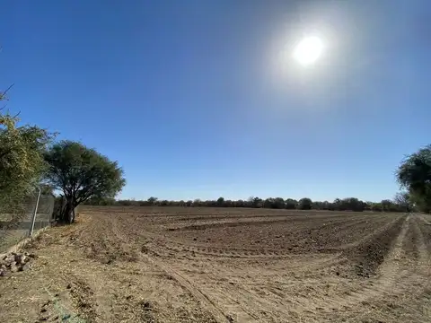 Campo de 22 ha - Media Naranja - Cruz del Eje