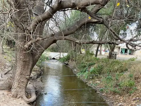 Campo de 22 ha - Media Naranja - Cruz del Eje