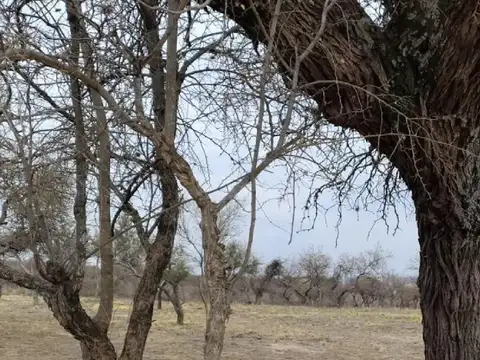 Lotes en San Lorenzo - El alto