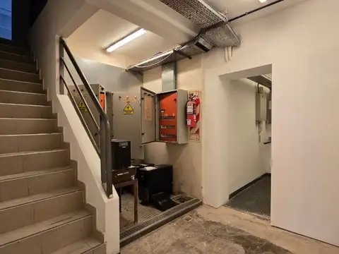 FRONDIZI 100