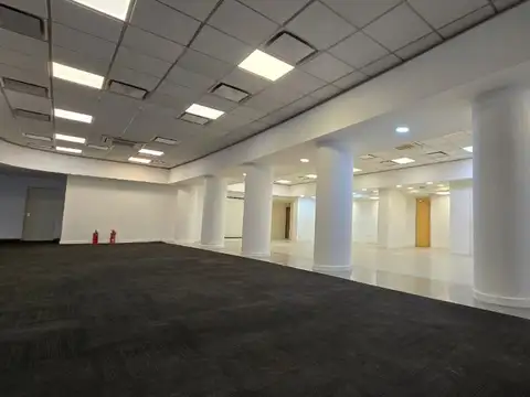 FRONDIZI 100