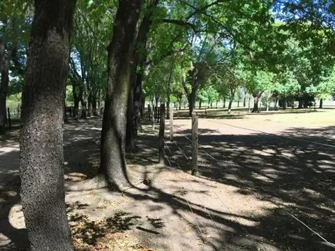 Praderas de Luján