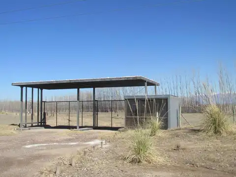 Venta Terreno 1000 m2 en San Carlos Valle de Uco