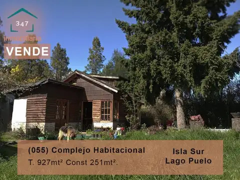 (055) LAGO PUELO (Isla Sur) Complejo de casa, dos departamentos y local