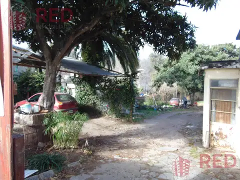 Avenida Belgrano al 236 - Salsipuedes