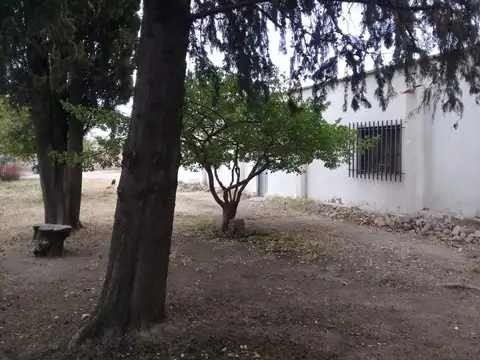 Espejo Este 600