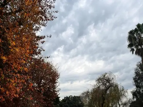 Quinta en Alquiler Temporal al Este