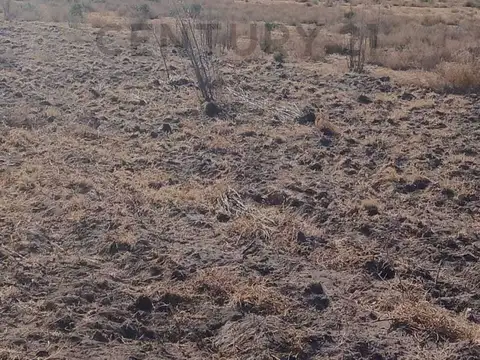 Terreno en Venta de 30000,0 m2