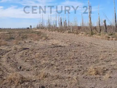 Se vende terreno en San Rafael