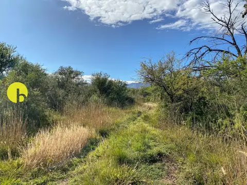 Terreno en Venta de 58896,0 m2