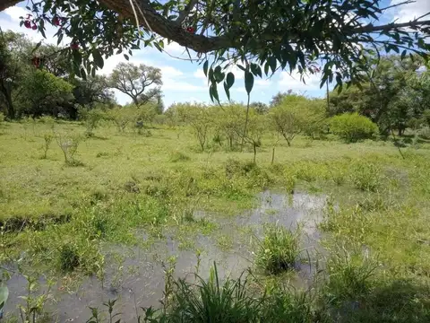 Terreno en Venta en Zarate, USD 81.000