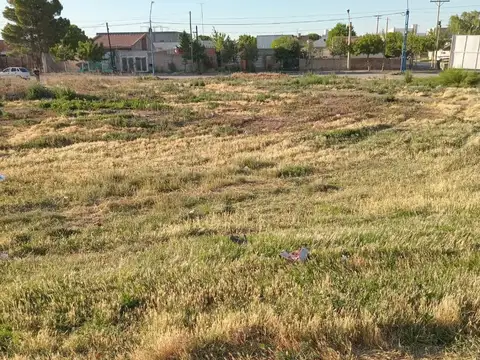 Terreno en Venta 10  mts Frente